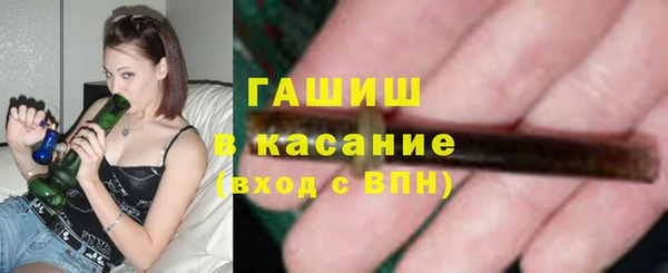 прущие грибы Каменногорск
