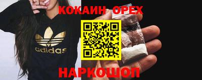 твердый Кингисепп