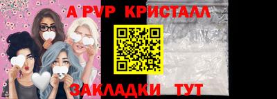 твердый Кингисепп