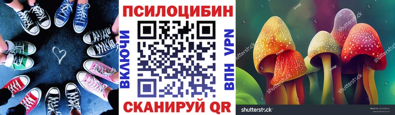 сайты даркнета формула  Кувандык  Галлюциногенные грибы мицелий 