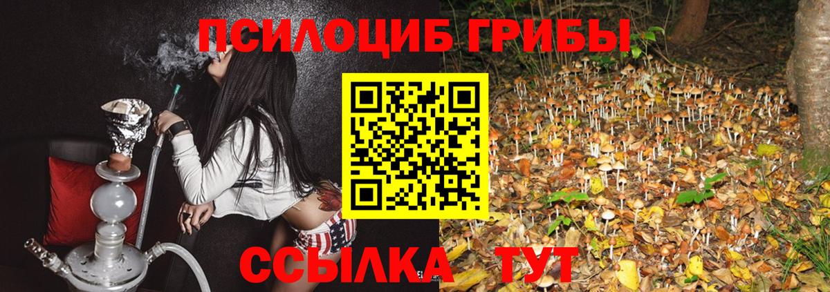 Кувандык  Марихуана  Вход с VPN  Купить наркотики цена  Меф МЯУ МЯУ   ГАШИШ  КОКАИН  NBOMe 