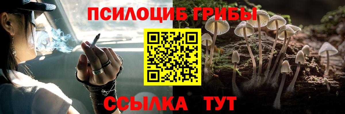 Псилоцибиновые грибы Cubensis Кувандык